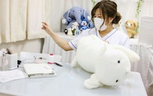 Độc lạ phòng khám chữa bệnh cho... thú nhồi bông ở Nhật, "viện phí" có thể lên đến 111 triệu