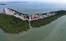 Nằm giữa biển Cần Giờ có một hòn đảo đẹp ngỡ ngàng, hoang sơ, rất ít người biết ở TP.HCM