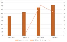 Một cổ phiếu tăng 188% sau 9 phiên