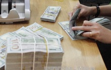 Tỷ giá trung tâm sáng 3/11 giảm 3 đồng