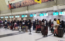 Đưa hơn 210 công dân Việt Nam từ Nhật Bản về nước