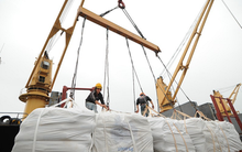 Vinaseed, Lộc Trời, Trung An lãi lớn nhờ giá gạo tăng