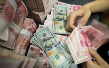 Sáng 4/11, tỷ giá trung tâm giảm 8 đồng