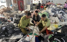 Thêm một cơ sở gia công quần áo gắn mác Adidas, Chanel, Gucci bị bắt quả tang