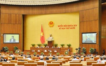 Đề xuất thành lập lực lượng cứu nạn, cứu hộ độc lập