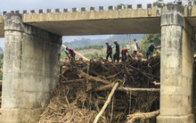 Hàng trăm khối gỗ khai thác trái phép chèn kín, 'đe dọa' cầu Nước Bua