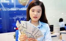 Tỷ giá trung tâm sáng 6/11 giảm 15 đồng