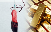 Chuyện về những người có dòng máu "quý hiếm hơn vàng ròng": Cuộc sống luôn đầy rủi ro nhưng chưa bao giờ ngần ngại hiến máu cứu người