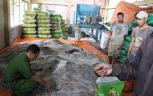 Vì đâu phân bón giả vẫn tràn lan thị trường?