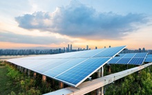 Xuất hiện thêm một công ty Thái Lan rót hàng nghìn tỷ đồng vào điện mặt trời Việt Nam