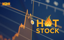 Một cổ phiếu tăng 320% sau 12 phiên