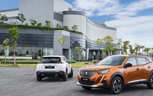 Sôi động phân khúc xe gầm cao cỡ nhỏ