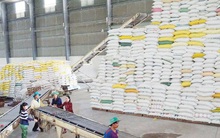 EAEU dành 10.000 tấn gạo hạn ngạch thuế quan cho Việt Nam năm 2021