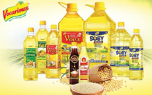 SCIC đưa hơn 44 triệu cổ phần Vocarimex ra đấu giá, giá khởi điểm thấp hơn thị giá