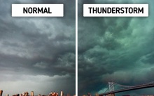 Những dấu hiệu dự báo về các hiện tượng tự nhiên mà chúng ta nên biết