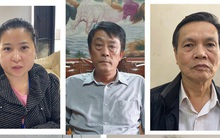 Đề nghị truy tố 19 bị can trong vụ án Gang thép Thái Nguyên giai đoạn 2