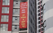 Ngân hàng BIDV rao bán loạt tài sản của Tập đoàn Thăng Long (Tincom Group) - chủ đầu tư chung cư Imperial Plaza 360 Giải Phóng