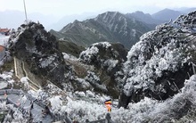 Bất chấp COVID, khách sạn kín phòng dịp Noel, Tết dương lịch 2021