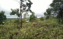 Tháo gỡ vướng mắc trong quản lý, sử dụng đất quốc phòng, an ninh