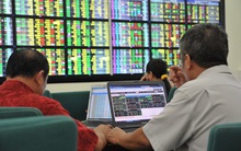 Thủ tướng quyết định thành lập Sở Giao dịch chứng khoán Việt Nam với vốn điều lệ 3.000 tỷ đồng, đặt trụ sở tại Hà Nội