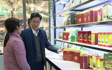 Sản xuất đông trùng hạ thảo bán tự nhiên: Mở hướng làm giàu nơi vùng biên