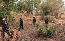 Phát hiện 2 người vượt biên trái phép về quê ở Hải Dương