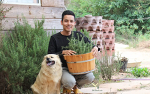 Chàng trai bỏ du học về Đà Lạt dựng ngôi nhà gỗ xinh xắn, làm nông trại và kể câu chuyện thời thanh xuân của riêng mình