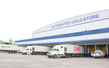 Thuỷ sản Hùng Vương (HVG): Chi 1.300 tỷ đầu tư kho lạnh 60.000 tấn, dự thu hồi vốn sau 4 năm