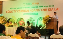 Hoàng Anh Gia Lai miễn nhiệm một Phó Tổng Giám đốc