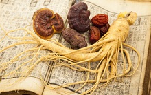 Cách ăn nhân sâm nào giúp phát huy tác dụng tốt nhất: Bật mí cho bạn đầy đủ, chi tiết!