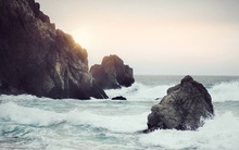 Nhìn lại một năm đã qua với triết lý Fudoshin giúp người Nhật "tâm bất biến giữa dòng đời vạn biến": Dục tốc bất đạt, có nhẫn nại mới thấy được an yên