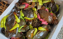 Vừa nhích giá không lâu, hàng hải sản lại giảm giá loại cua biển ngon nhất nhì miền Tây