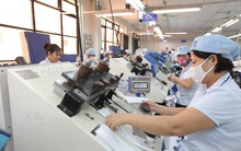 Vinatex: Quý 2 lãi 120 tỷ đồng giảm 22% so với cùng kỳ