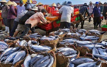 Doanh nghiệp thủy sản chờ “cú hích” EVFTA