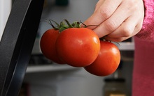 Nhìn vào củ khoai tây, cà chua, hành tây mà thấy có dấu hiệu này thì nên cho vào thùng rác vì ăn sẽ không có dinh dưỡng mà còn dễ bị ngộ độc