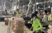 Vụ áp thuế từ 0 lên 25%: Tổng cục Hải quan chính thức sửa lỗi