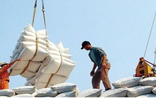 80.000 tấn gạo miễn thuế sẽ “bước chân” vào thị trường EU mỗi năm