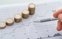 Sara Việt Nam (SRA) thông qua phương án phát hành cổ phiếu trả cổ tức tỷ lệ 40%