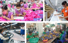 Phải cải cách triệt để mới tận dụng được các cơ hội từ EVFTA