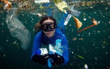 Lần đầu tiên tìm thấy hạt vi nhựa tích tụ trong gan, phổi và thận của con người