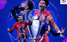 Chân dung “ông chủ” của Paris Saint Germain: Quỹ đầu tư hơn 300 tỷ USD, cổ đông lớn của hàng loạt tập đoàn Anh, Pháp, Đức