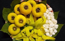 Hoa quả quê "lên đời", ra phố bán tiền triệu vẫn không có để mua