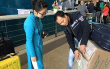 Từ ngày 15/10, tăng mức giới hạn bồi thường thiệt hại về người và của trong vận chuyển bằng đường hàng không