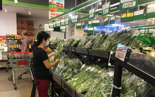 Khó phân biệt rau củ quả sạch