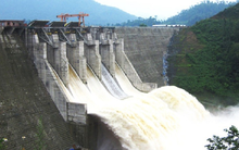 Thủy điện Miền Trung (CHP) phát hành hơn 8 triệu cổ phiếu trả cổ tức