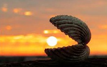 Cuộc đời khác biệt giữa những người ngày ngủ 6 tiếng và người ngủ 8 tiếng: Áp lực và sự bất lực đầy rẫy, nhưng muốn sống tiếp, nên học cách tự điều chỉnh bản thân