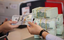 Những tháng cuối năm, tỷ giá sẽ ít biến động