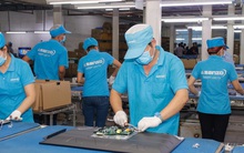 Cho thông quan trở lại 18 container hàng hóa của Asanzo đang bị tạm giữ