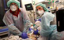 CDC dự đoán về số người Mỹ có thể tử vong trong 20 ngày tới vì COVID-19: Con số giật mình!