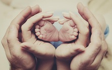 Gia đình nào có đủ 4 "bảo vật" này thì đạo nhà yên ổn, tài lộc thăng hoa, một đời no ấm hạnh phúc